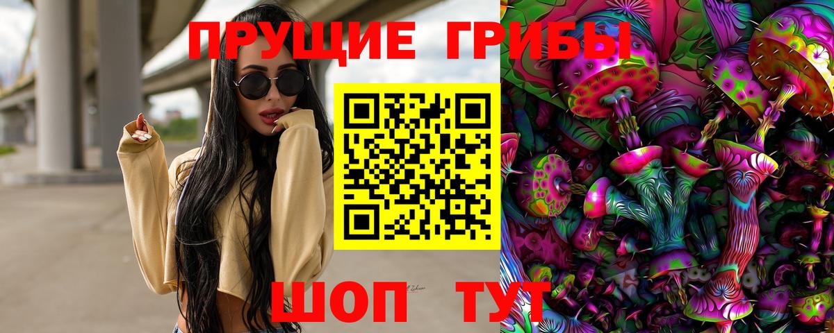 купить наркотики сайты  Псилоцибиновые грибы Psilocybine cubensis  Вход с VPN  Серпухов  Псилоцибиновые грибы ЛСД 