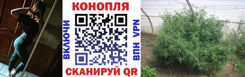Бошки марихуана индика  как найти наркотики  Серпухов 